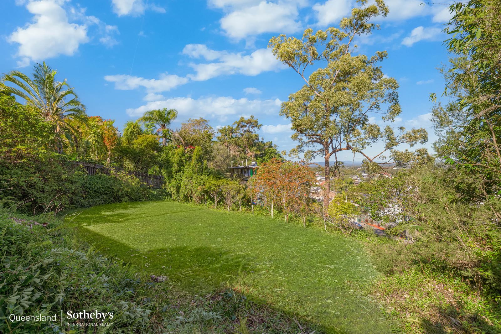 Level backyard